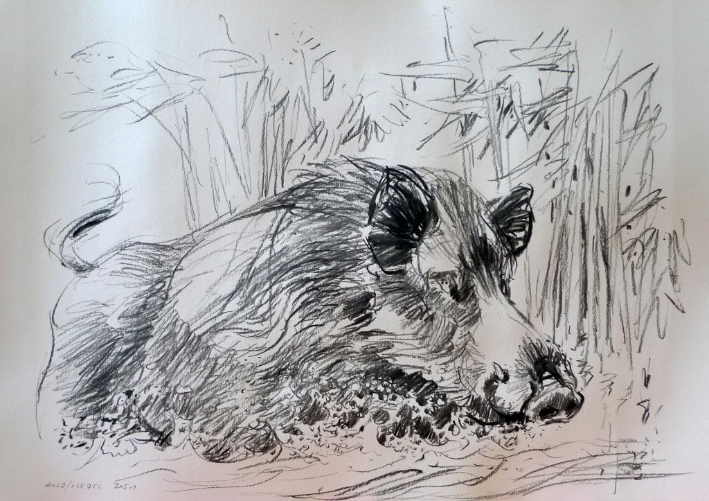 62f9b8487a1bfc9c788f9d56b849cd1b